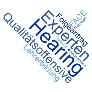 Wordcloud Expertenhearing