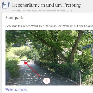Screenshot aus der Wiki-Anleitung zur Stadtparkexkursion (Das Bild wurde durch die Konzeptionsgruppe der Exkursion aufgenommen und bearbeitet.)